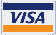 Visa Logo